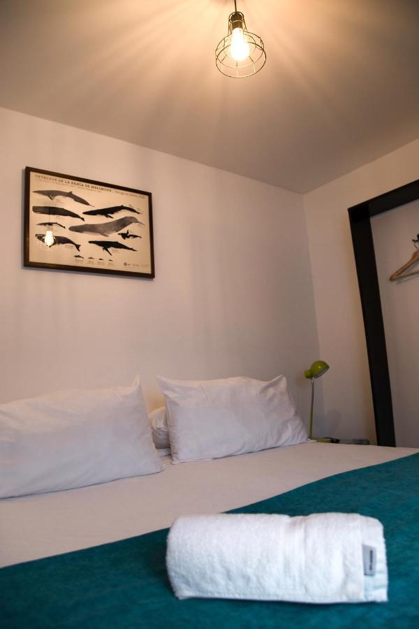 Hostal Boutique Terra Antarctica プンタアレナス エクステリア 写真