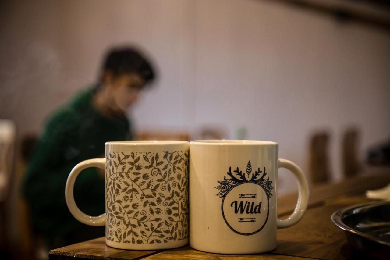 Hostal Boutique Terra Antarctica プンタアレナス エクステリア 写真