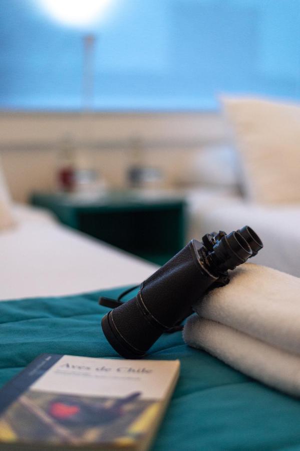 Hostal Boutique Terra Antarctica プンタアレナス エクステリア 写真